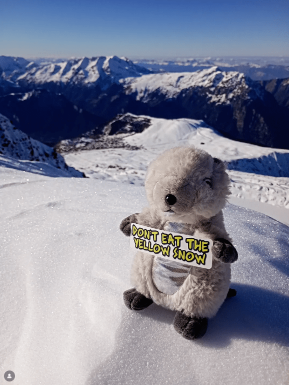 "Don't eat the yellow snow" le nouveau slogan de l'Alpe d'Huez ?